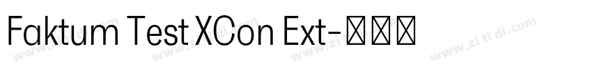 Faktum Test XCon Ext字体转换